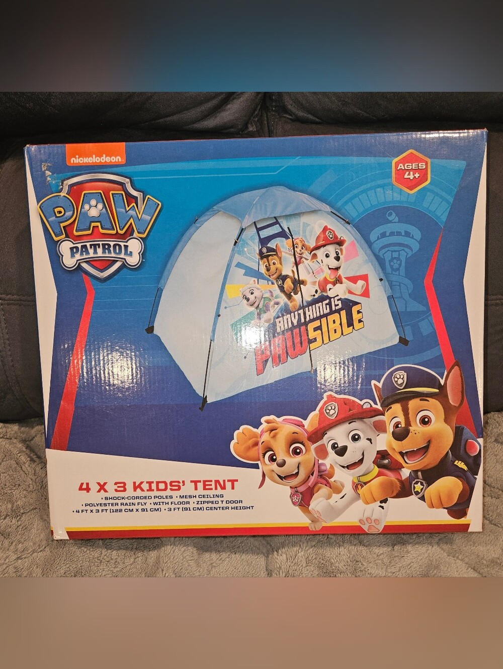 NEW in Box Paw Patrol 4X3 Kids' Tent